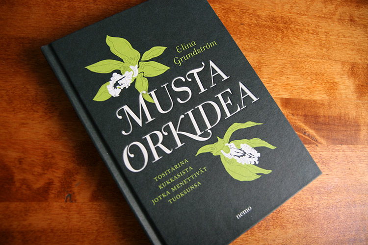 Musta Orkidea